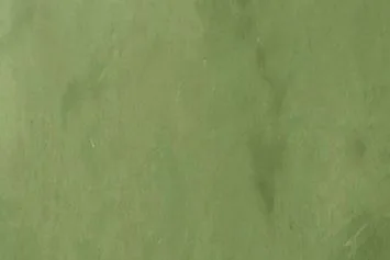 KCBerry — Dark Green KCBerry microcement colour sample: Dark Green